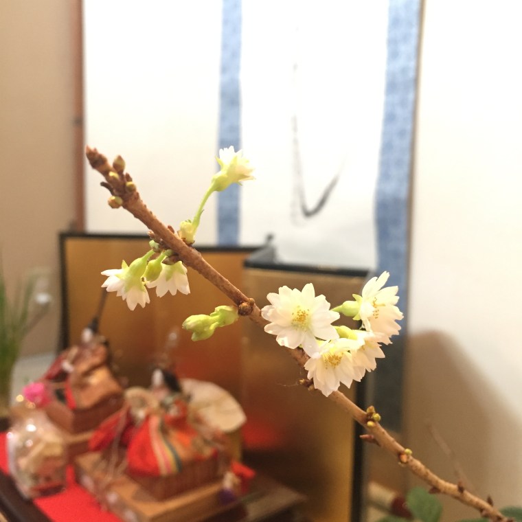 671B5B33-6256-4DE7-BC1B-F1EB5B7C2540